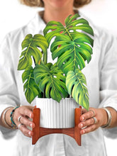 Load image into Gallery viewer, Monstera Plant  Pop-up Greeting Cards
