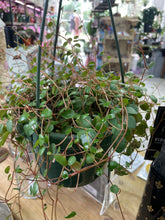 Load image into Gallery viewer, String of Hanging Basket 6&quot;
