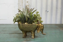 Load image into Gallery viewer, EZZIE ELEPHANT POT
