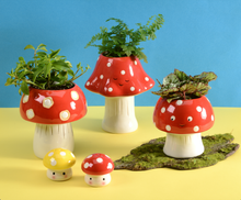 Load image into Gallery viewer, Kawaii Mushroom Planter - Small
