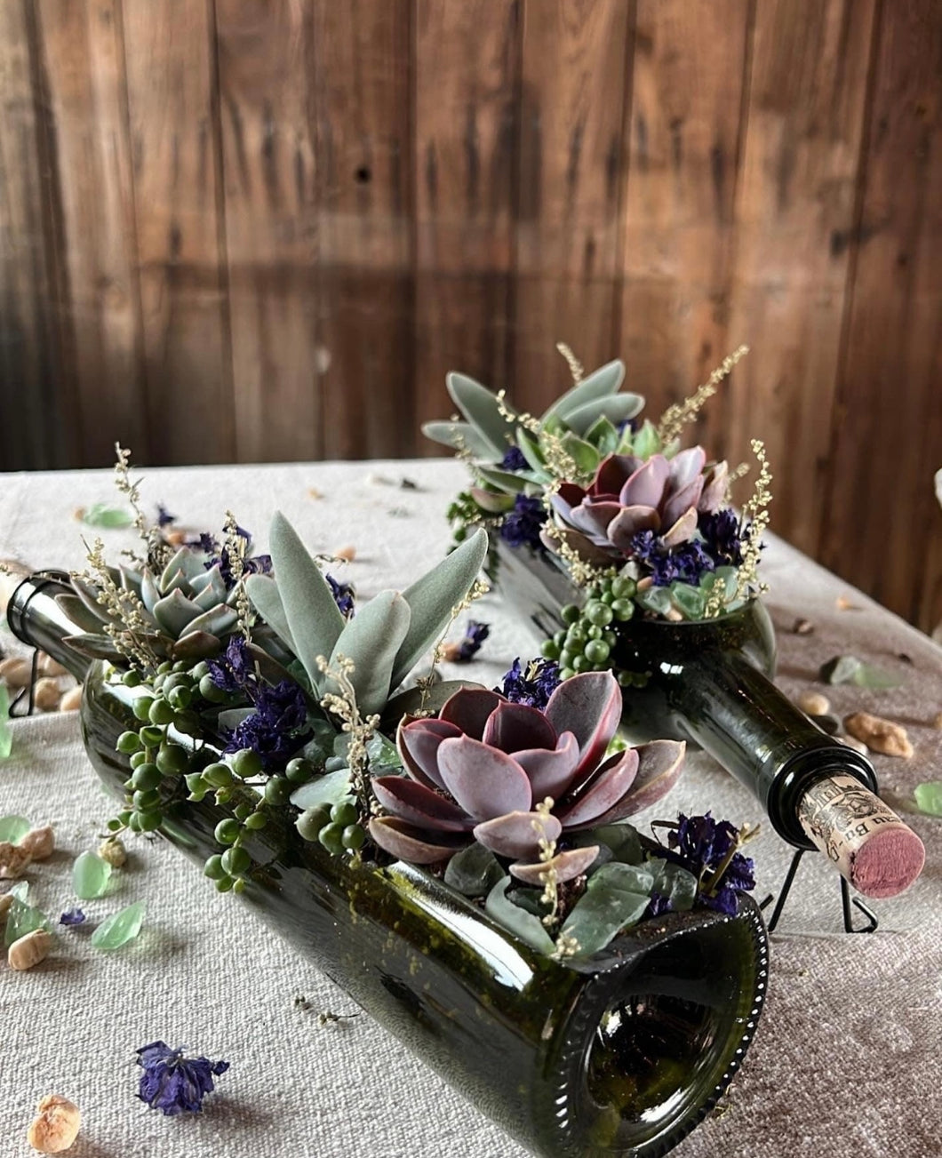 Wine Bottle Succulent Arrangement Class June 5th