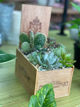 Load image into Gallery viewer, Cigar Box Succulent WorkShop
