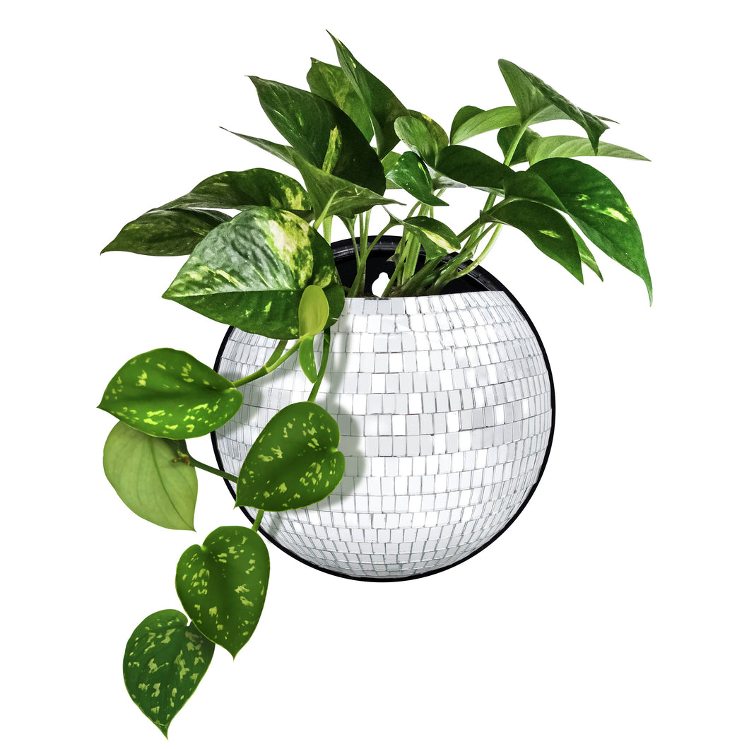 Magnetic Disco Planter