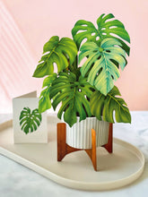 Load image into Gallery viewer, Monstera Plant  Pop-up Greeting Cards
