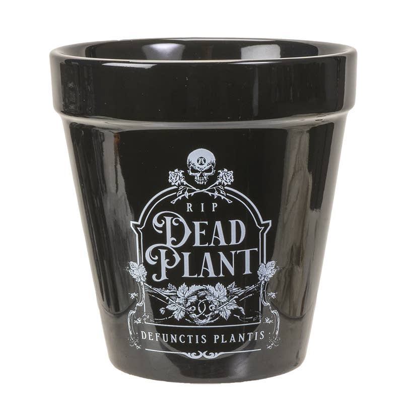 Dead Plant Garden Planter Halloween