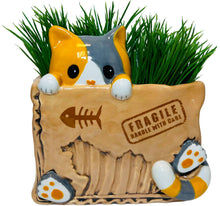 Load image into Gallery viewer, Cat In The Box Planter
