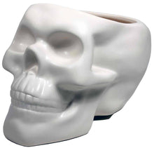 Load image into Gallery viewer, Bone Skull Planter
